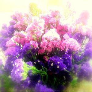 励志简短正能量语录 有关于正能量的励志语录