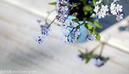 2021母亲节朋友圈高赞暖心祝福语合集72句