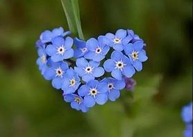 人生格言个性签名 个性签名人生格言2021(精选60句)