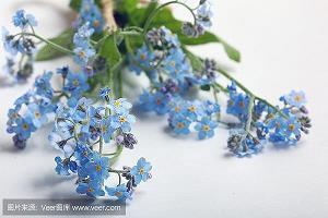 心疼一个人的说说