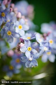 2021腊八节快乐祝福语文案暖心