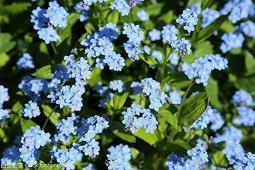 2021表达天气炎热的心情说说(精选66句)