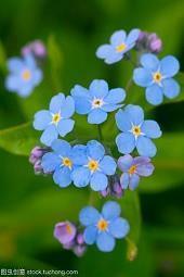 芳誉