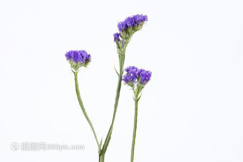 形容生活太难了的句子 感悟生活艰辛的句子48句