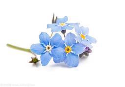 下雨了感觉很失落的伤感句子(精选115句)