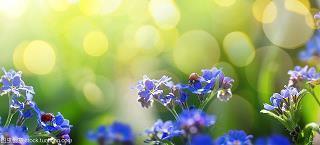 2021年春节拜年祝福语