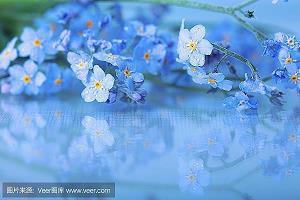 驳