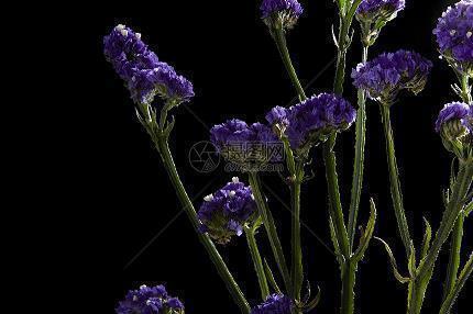 2021年结婚祝福语大全简短(精选61条)