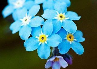 发一条有深度的朋友圈 看似简单却有深度的话