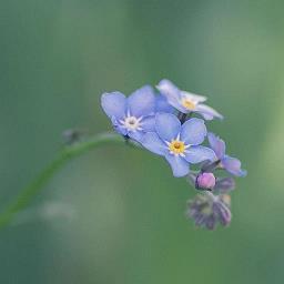 朋友圈唯美文案句子 朋友圈甜甜圈的文案(精选60句)