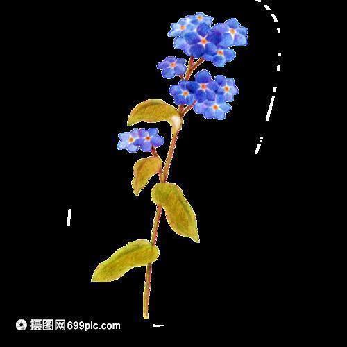 鞭驽策蹇