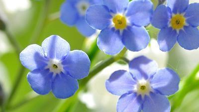 十岁生日文案高级 10岁成长礼简短寄语(精选59句)