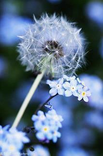 七月再见八月你好唯美个性朋友圈文案(精选120句)