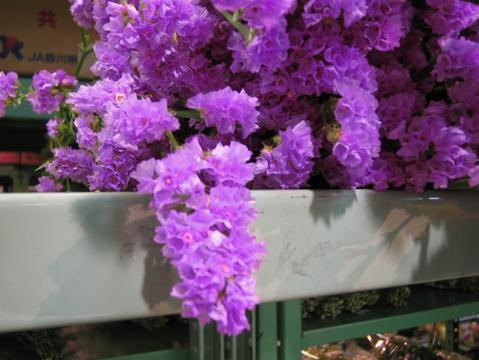 跑荒
