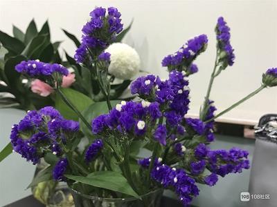 女人要活得精致的句子