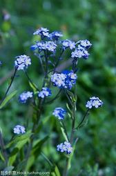 2020激励自己的句子