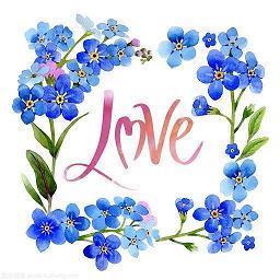 夸自己女朋友的优美句子