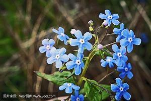 唯美伤感忧伤的句子85句