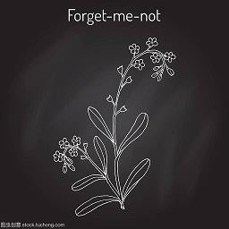 再见2月你好3月微信说说文案