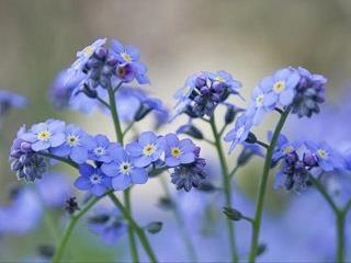 夕阳的句子唯美短句二年级