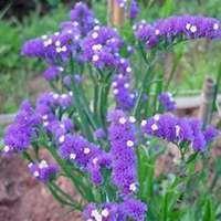 最简短的一句话笑死人 搞笑语句笑死人一句话