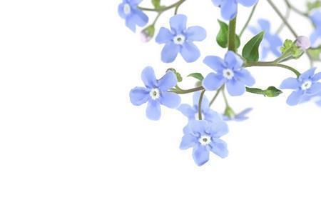 2021最新母亲节短信祝福语大全 送给母亲的温馨祝福