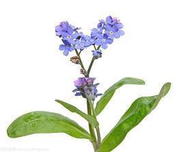 关于心情低落的句子