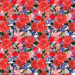 幽默祝福开心的句子