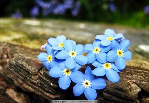 今夜失眠的心情说说 关于失眠的说说心情(精选56句)