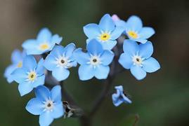 2021平安夜祝福语大全暖心简短大全(精选80条)