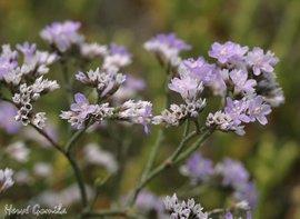 励志的句子坚持