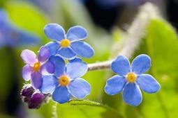 2021给老师的元旦祝福语