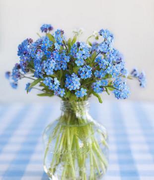 哄小姐姐开心的句子