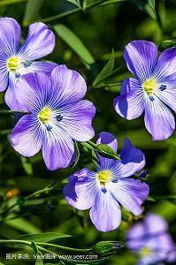 2021中秋节温馨经典祝福文案(精选91条)