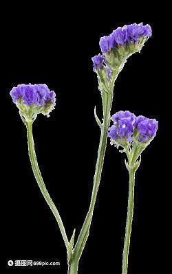 幼儿园小班六一儿童节寄语简短的汇编32句