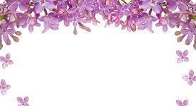 假如给我三天光明好词好句好段摘抄大全精选