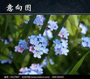 关于最新元旦快乐祝福语句简短(精选78句)