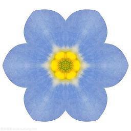 2021春分节气短信祝福语