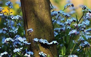 关于勤奋刻苦的励志句子(精选11句)