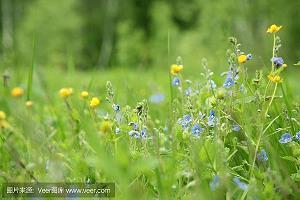 2021年教师节朋友圈最火文案(精选93条)