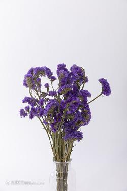 又头痛又心烦的句子