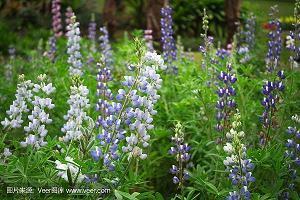 2020朋友饭店开业祝福语