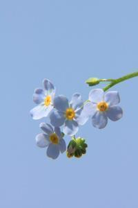 2021春节过年朋友圈文案句子