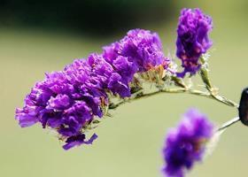 2020领导生日感恩祝福语