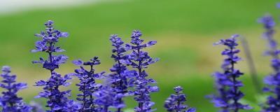 含蓄骂人的句子