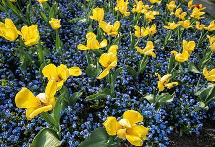 八月你好说说语录集锦