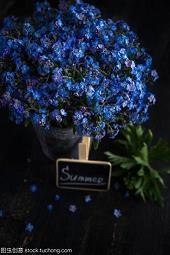 一句三观精辟的话 三观超正的温柔句子40句