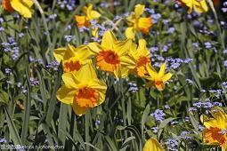 圣诞节发朋友圈的俏皮说说 2021最新圣诞节搞笑说说