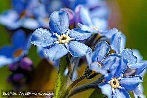 连滚带爬