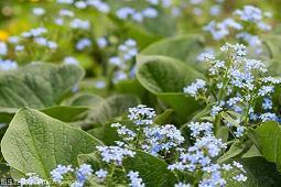 对婚姻失望想离婚的句子说说心情